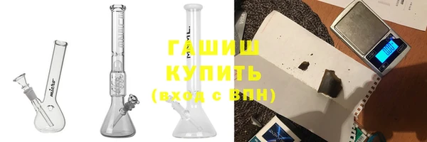 индика Козловка