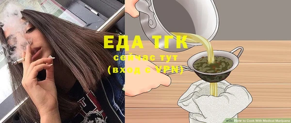 индика Козловка