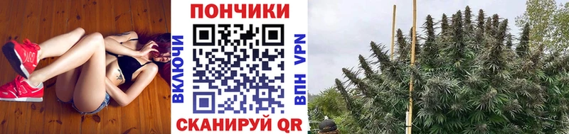 закладка  мориарти какой сайт  Шишки марихуана VHQ  Малмыж 